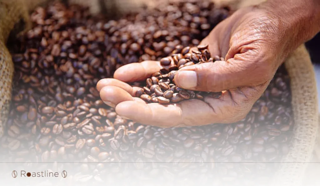 ۵. قهوه سنت هلنا (St. Helena) از جزیره سنت هلنا